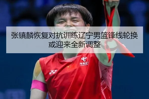 张镇麟恢复对抗训练辽宁男篮锋线轮换或迎来全新调整
